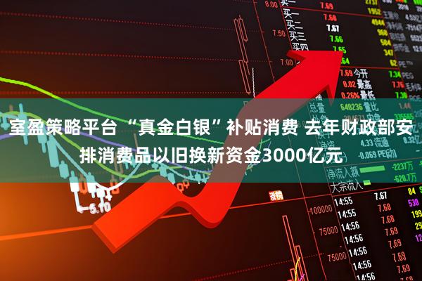 室盈策略平台 “真金白银”补贴消费 去年财政部安排消费品以旧换新资金3000亿元